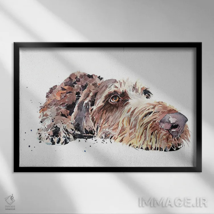 تابلو پوینتر آلمانی مو سیمی (نژاد سگ) اثر ادز واترکالرز (برند نقاشی آبرنگ) - نمای قابدار مشکی