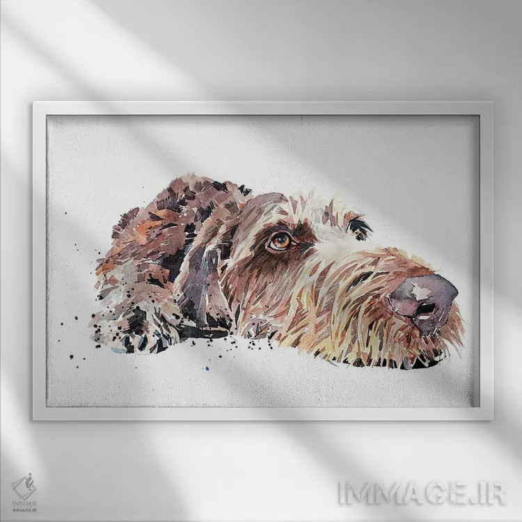 تابلو پوینتر آلمانی مو سیمی (نژاد سگ) اثر ادز واترکالرز (برند نقاشی آبرنگ) - نمای قابدار سفید