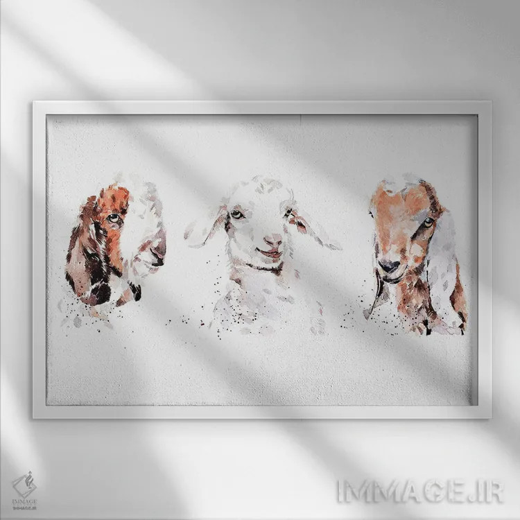 تابلو بچه بزهای بوئر، سانه، و نوبی: سه پادشاه اثر ادز واترکالرز (برند نقاشی آبرنگ) - نمای قابدار سفید