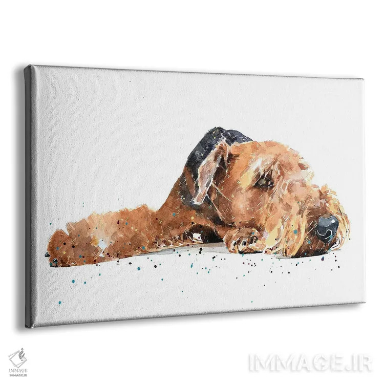 تابلو ایردیل (نژاد سگ) اثر ادز واترکالرز (برند نقاشی آبرنگ) - نمای پرسپکتیو محصول