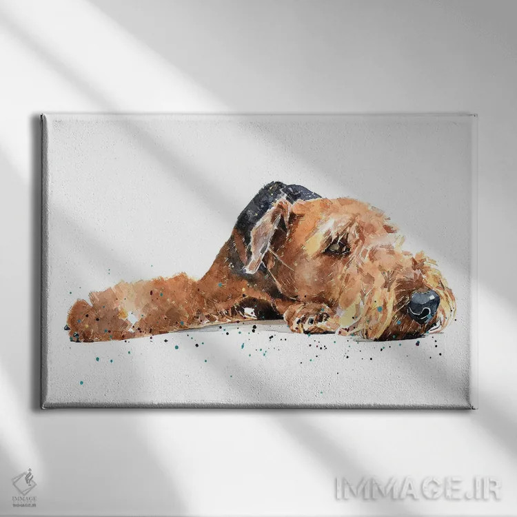 تابلو ایردیل (نژاد سگ) اثر ادز واترکالرز (برند نقاشی آبرنگ) - نمای روبهرو روی دیوار