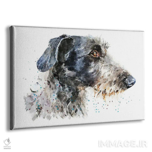 تابلو سگ شکاری گوزن (نژاد سگ) اثر ادز واترکالرز (برند نقاشی آبرنگ) - نمای پرسپکتیو محصول