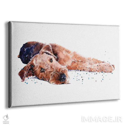 تابلو ایردیل I (نژاد سگ) اثر ادز واترکالرز (برند نقاشی آبرنگ) - نمای پرسپکتیو محصول