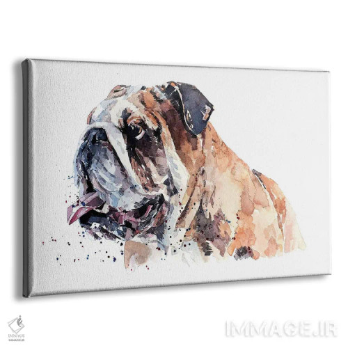 تابلو بولداگ انگلیسی II (نژاد سگ) اثر ادز واترکالرز (برند نقاشی آبرنگ) - نمای پرسپکتیو محصول