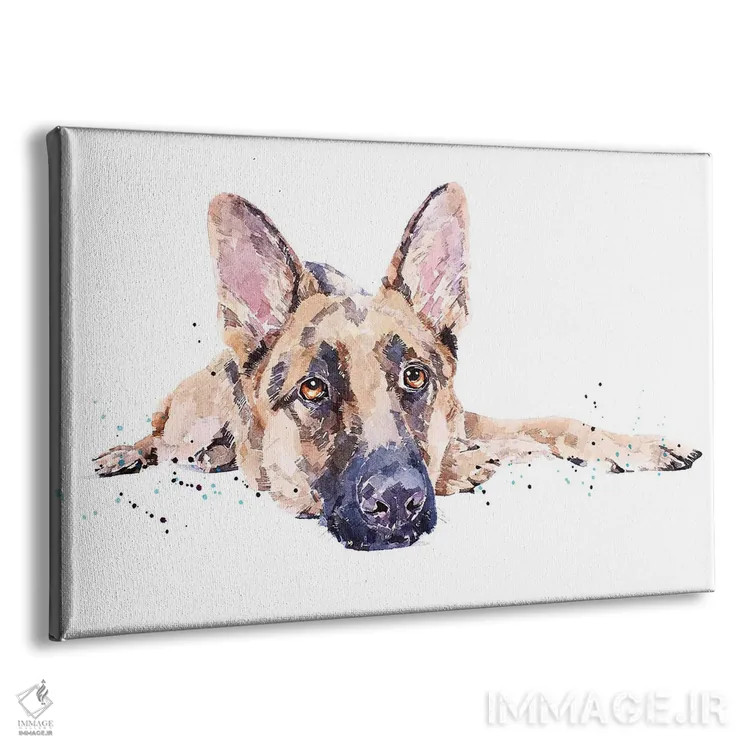 تابلو ژرمن شپرد II (نژاد سگ) اثر ادز واترکالرز (برند نقاشی آبرنگ) - نمای پرسپکتیو محصول
