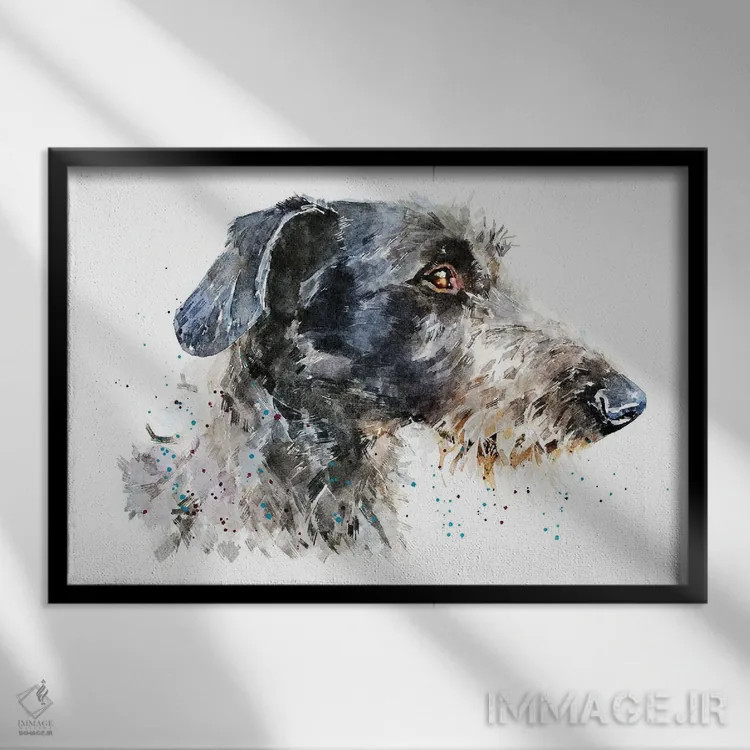 تابلو سگ شکاری گوزن (نژاد سگ) اثر ادز واترکالرز (برند نقاشی آبرنگ) - نمای قابدار مشکی