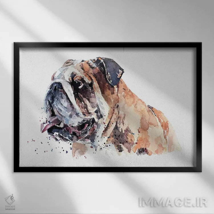تابلو بولداگ انگلیسی II (نژاد سگ) اثر ادز واترکالرز (برند نقاشی آبرنگ) - نمای قابدار مشکی
