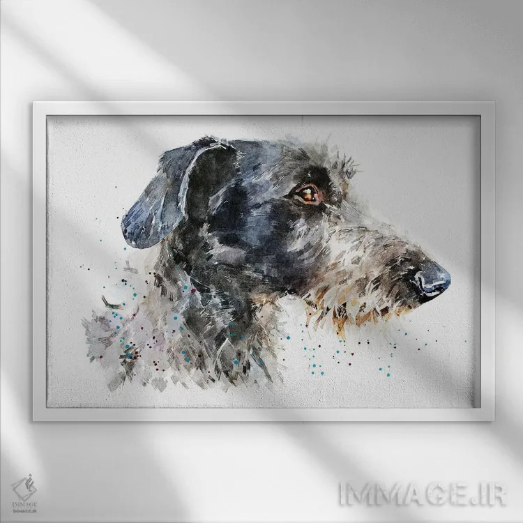 تابلو سگ شکاری گوزن (نژاد سگ) اثر ادز واترکالرز (برند نقاشی آبرنگ) - نمای قابدار سفید