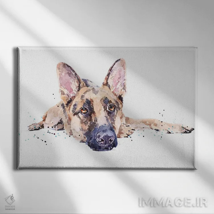 تابلو ژرمن شپرد II (نژاد سگ) اثر ادز واترکالرز (برند نقاشی آبرنگ) - نمای روبهرو روی دیوار