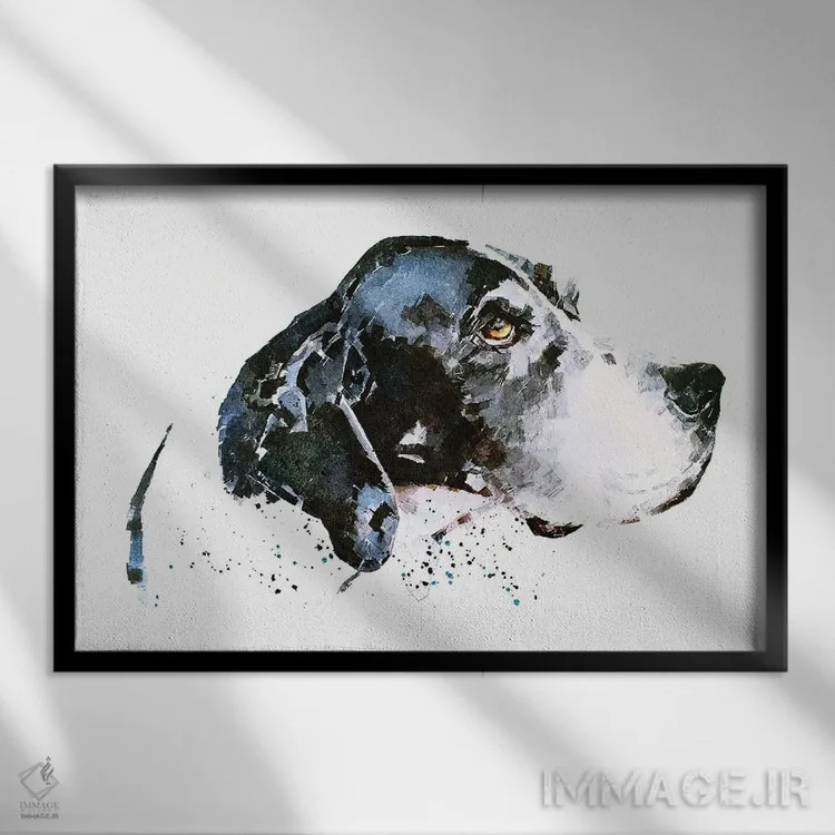 تابلو پوینتر انگلیسی (نژاد سگ) اثر ادز واترکالرز (برند نقاشی آبرنگ) - نمای قابدار مشکی