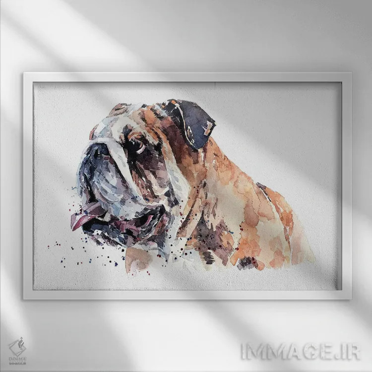 تابلو بولداگ انگلیسی II (نژاد سگ) اثر ادز واترکالرز (برند نقاشی آبرنگ) - نمای قابدار سفید