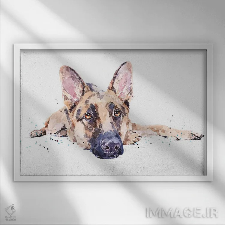 تابلو ژرمن شپرد II (نژاد سگ) اثر ادز واترکالرز (برند نقاشی آبرنگ) - نمای قابدار سفید