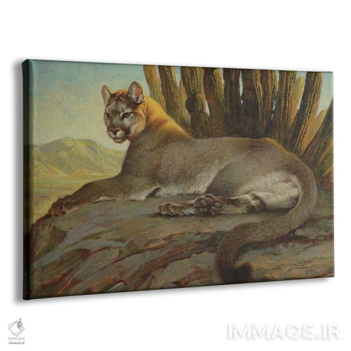 تابلو سایه بیابان اثر ازرا تاکر - نمای پرسپکتیو محصول