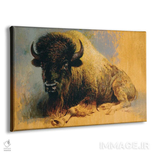 تابلو گاومیش در حال استراحت اثر ازرا تاکر - نمای پرسپکتیو محصول