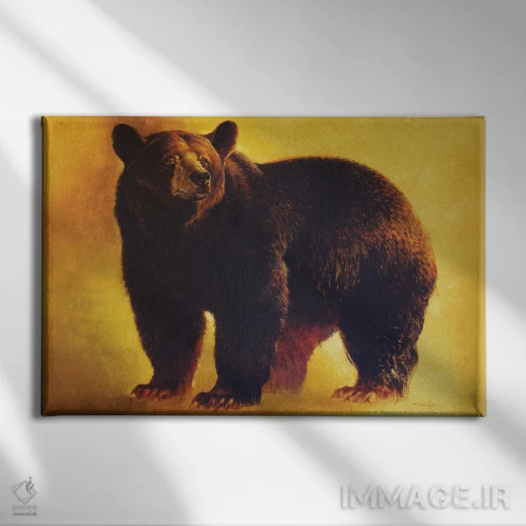 تابلو خرس سیاه نر اثر ازرا تاکر - نمای روبهرو روی دیوار