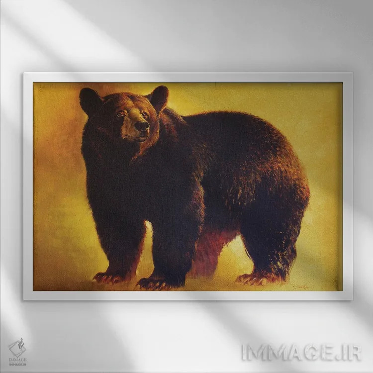 تابلو خرس سیاه نر اثر ازرا تاکر - نمای قابدار سفید