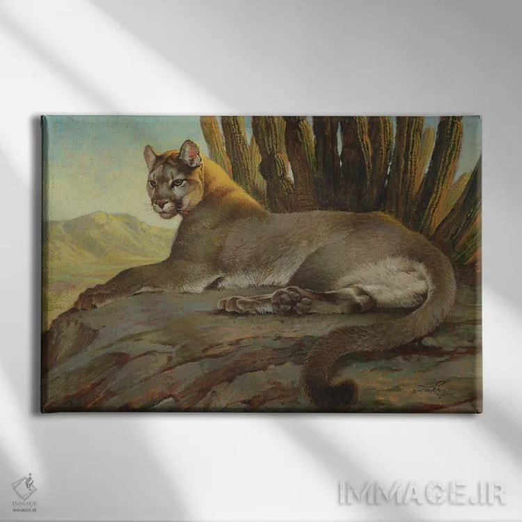 تابلو سایه بیابان اثر ازرا تاکر - نمای روبهرو روی دیوار