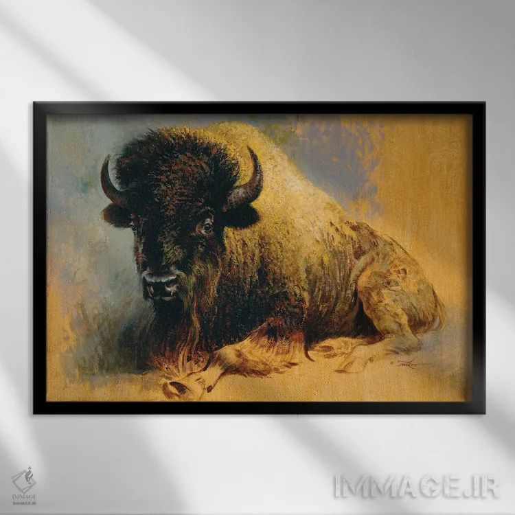 تابلو گاومیش در حال استراحت اثر ازرا تاکر - نمای قابدار مشکی