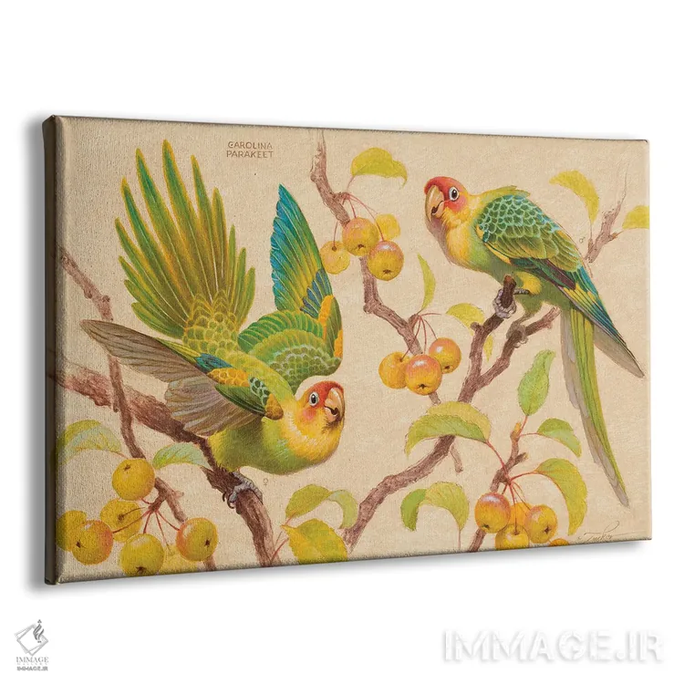 تابلو خوراکیهای ترش اثر ازرا تاکر - نمای پرسپکتیو محصول