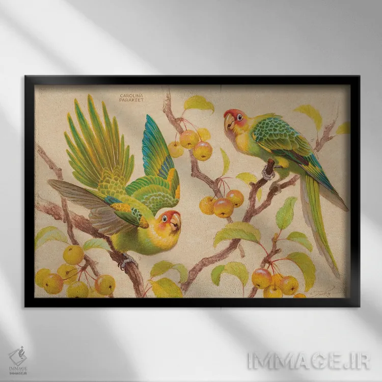 تابلو خوراکیهای ترش اثر ازرا تاکر - نمای قابدار مشکی