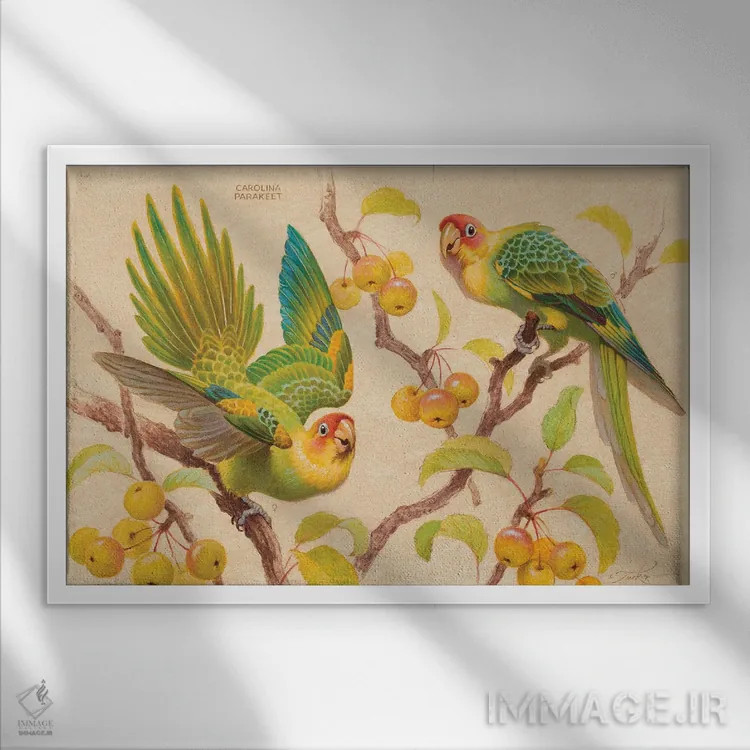 تابلو خوراکیهای ترش اثر ازرا تاکر - نمای قابدار سفید