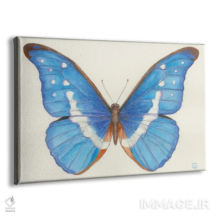 تابلو پروانه مورفو آبی اثر مایت فلای آرت اند ایلاستریشن (استودیو طراحی و تصویرگری) - نمای پرسپکتیو محصول
