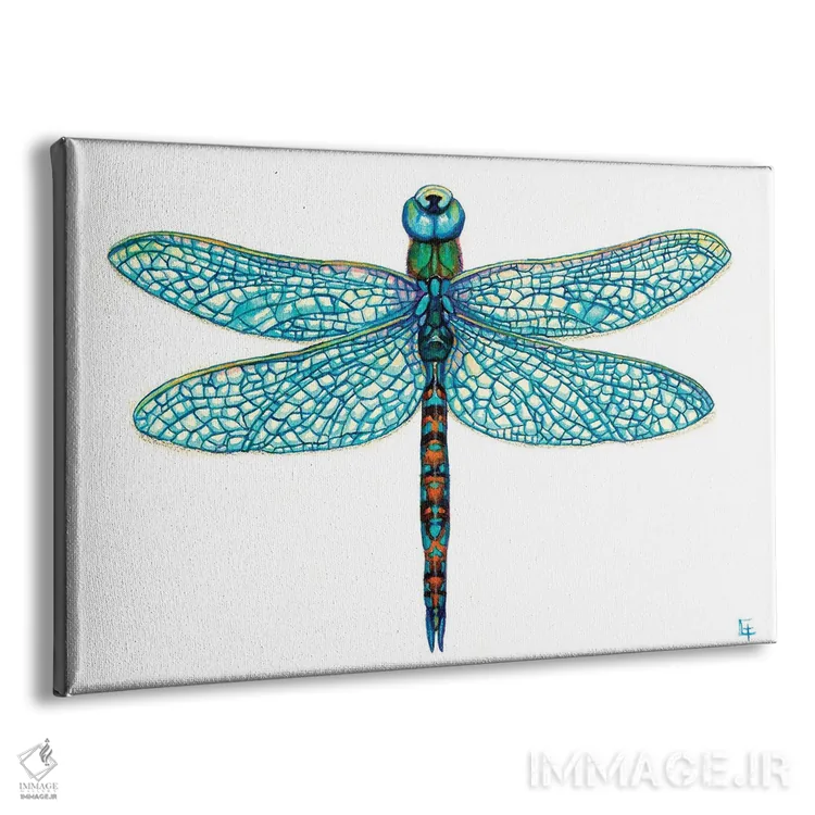 تابلو سنجاقک اثر مایت فلای آرت اند ایلاستریشن (استودیو طراحی و تصویرگری) - نمای پرسپکتیو محصول