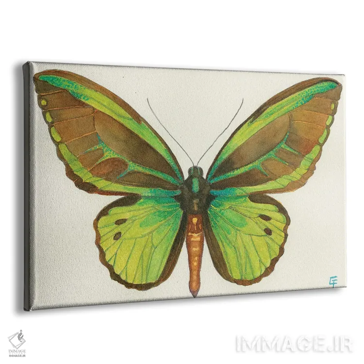 تابلو پروانه پرنده اثر مایت فلای آرت اند ایلاستریشن (استودیو طراحی و تصویرگری) - نمای پرسپکتیو محصول