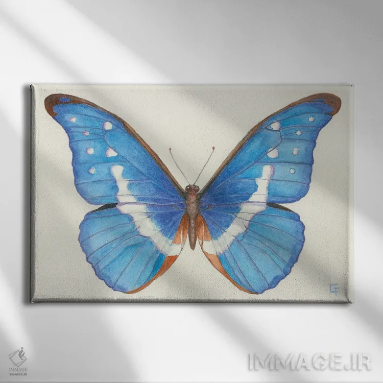 تابلو پروانه مورفو آبی اثر مایت فلای آرت اند ایلاستریشن (استودیو طراحی و تصویرگری) - نمای روبهرو روی دیوار