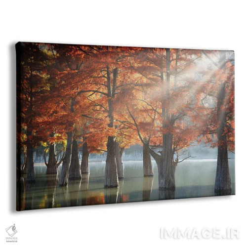 تابلو درختان سرو آفتابی اثر دمیتری نسوتایلوف - نمای پرسپکتیو محصول