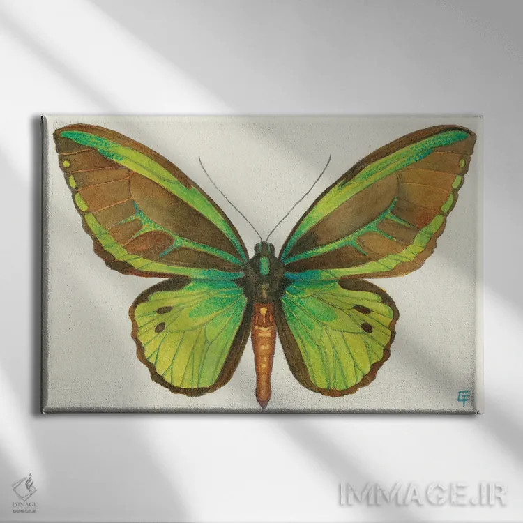 تابلو پروانه پرنده اثر مایت فلای آرت اند ایلاستریشن (استودیو طراحی و تصویرگری) - نمای روبهرو روی دیوار