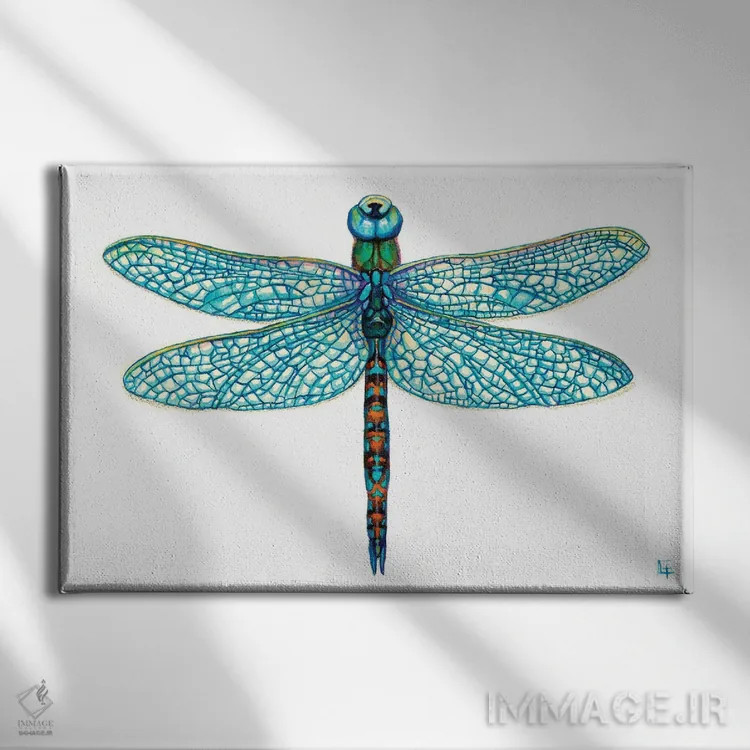 تابلو سنجاقک اثر مایت فلای آرت اند ایلاستریشن (استودیو طراحی و تصویرگری) - نمای روبهرو روی دیوار