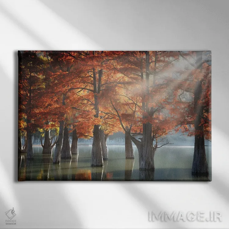 تابلو درختان سرو آفتابی اثر دمیتری نسوتایلوف - نمای روبهرو روی دیوار