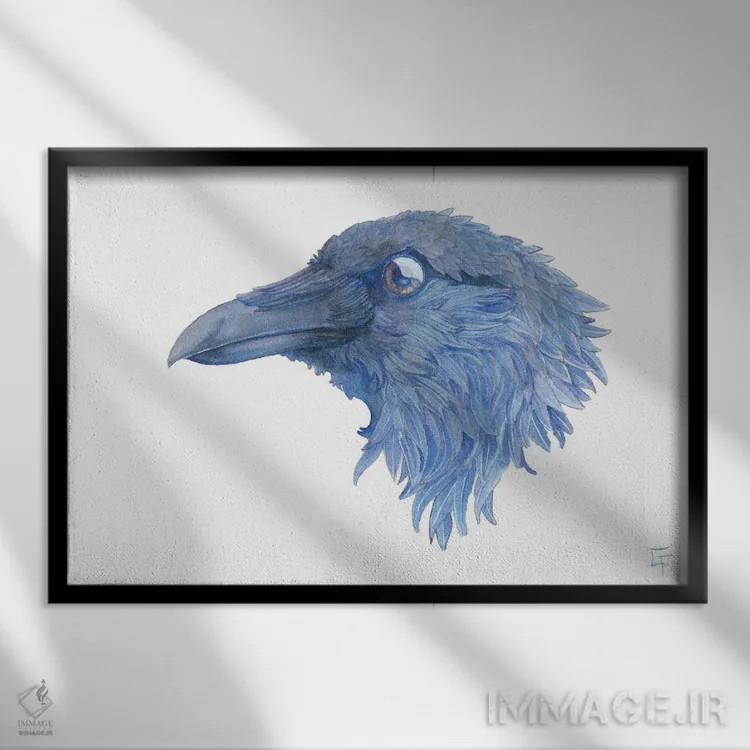 تابلو کلاغ سیاه بزرگ اثر مایت فلای آرت اند ایلاستریشن (استودیو طراحی و تصویرگری) - نمای قابدار مشکی