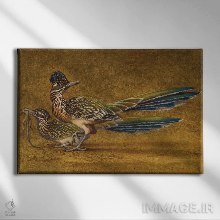 تابلو کورهکامینوس (پرنده جادهرو در آمریکای لاتین) اثر ازرا تاکر - نمای روبهرو روی دیوار