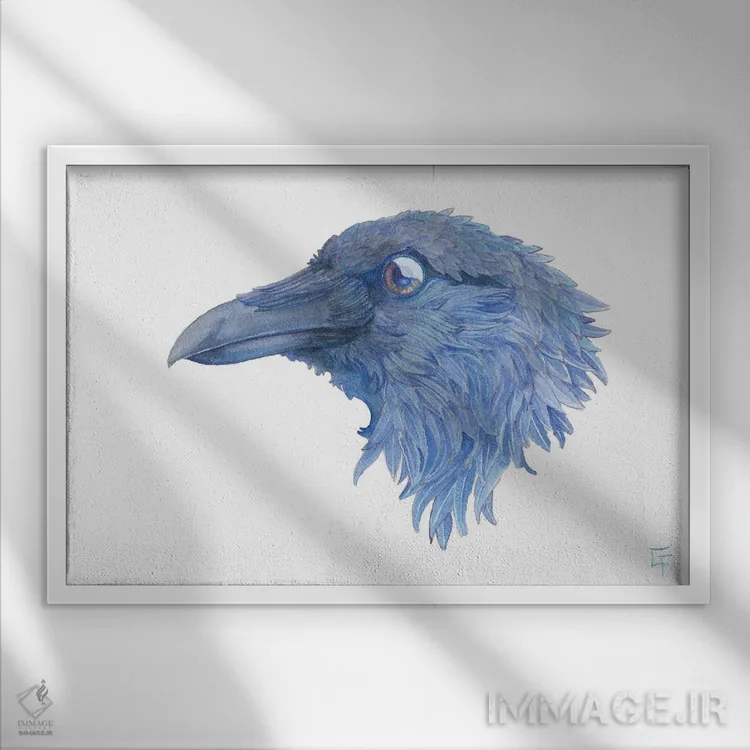 تابلو کلاغ سیاه بزرگ اثر مایت فلای آرت اند ایلاستریشن (استودیو طراحی و تصویرگری) - نمای قابدار سفید