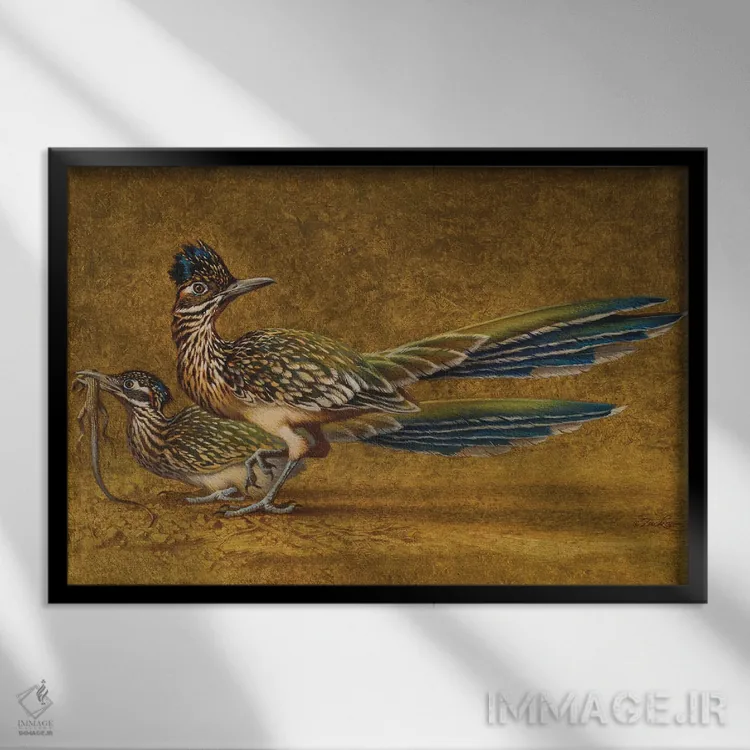 تابلو کورهکامینوس (پرنده جادهرو در آمریکای لاتین) اثر ازرا تاکر - نمای قابدار مشکی