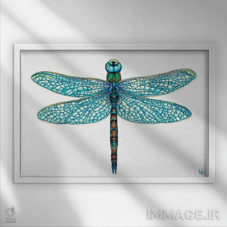 تابلو سنجاقک اثر مایت فلای آرت اند ایلاستریشن (استودیو طراحی و تصویرگری) - نمای قابدار سفید