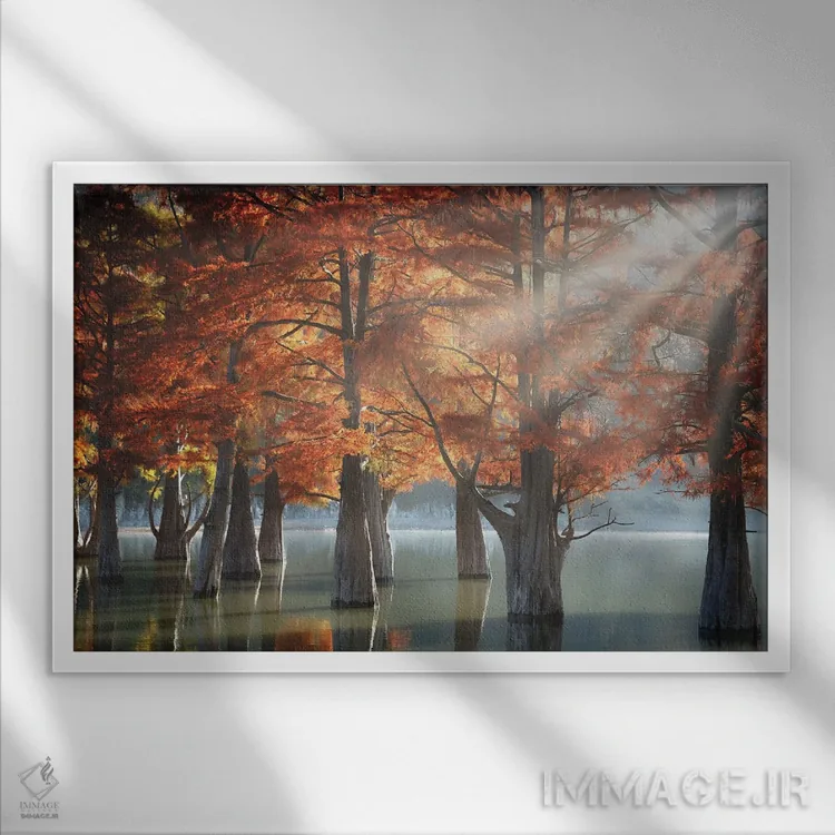 تابلو درختان سرو آفتابی اثر دمیتری نسوتایلوف - نمای قابدار سفید