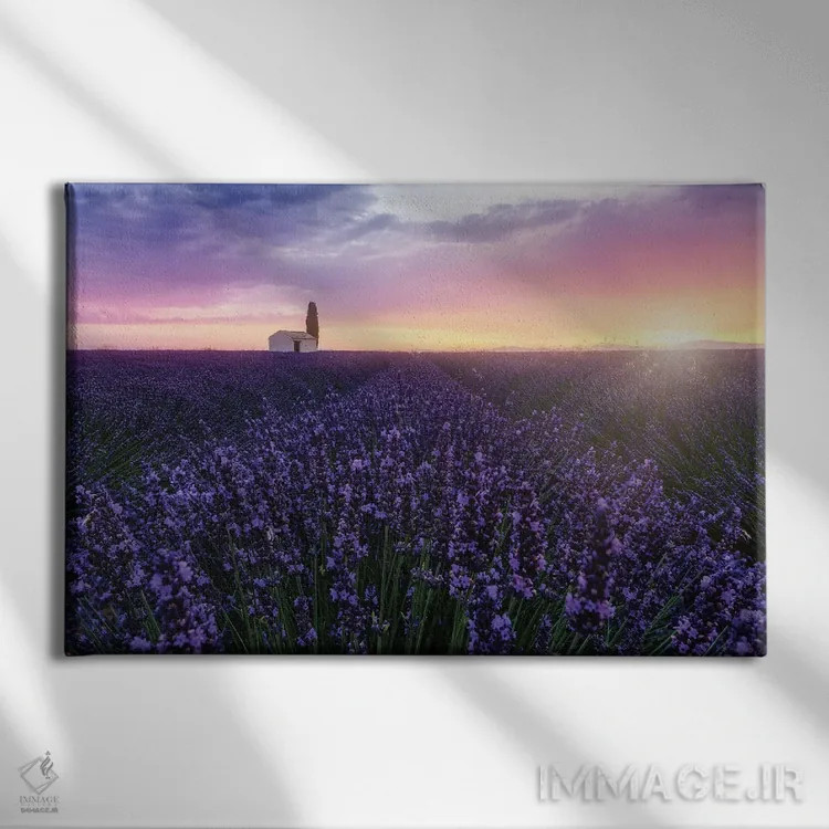 تابلو زنبورها هنگام طلوع خورشید اثر فابیو آنتنور - نمای روبهرو روی دیوار