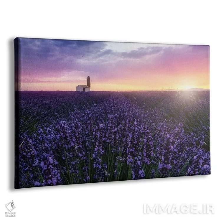 تابلو زنبورها هنگام طلوع خورشید اثر فابیو آنتنور - نمای پرسپکتیو محصول