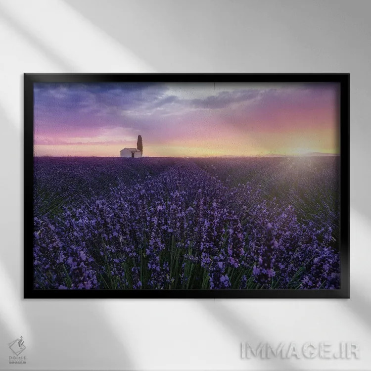 تابلو زنبورها هنگام طلوع خورشید اثر فابیو آنتنور - نمای قابدار مشکی