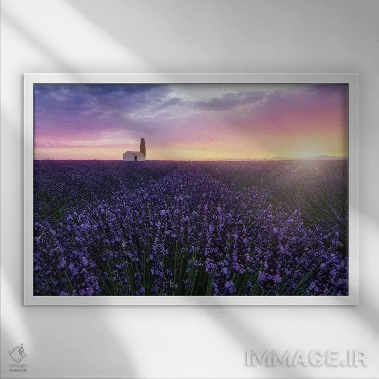 تابلو زنبورها هنگام طلوع خورشید اثر فابیو آنتنور - نمای قابدار سفید