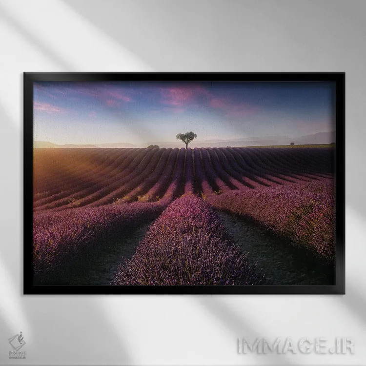 تابلو خورشید بنفش اثر فابیو آنتنور - نمای قابدار مشکی