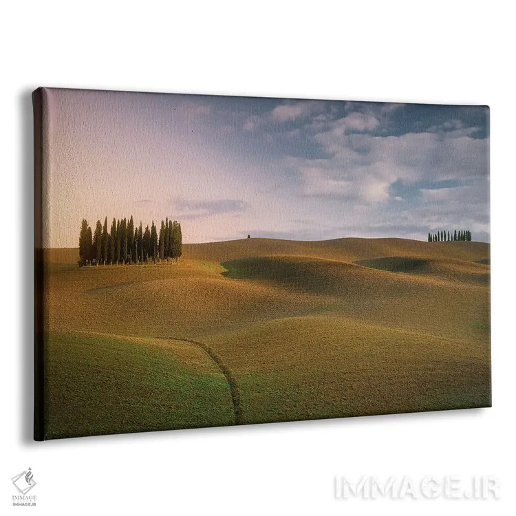 تابلو گورستان اثر فابیو آنتنور - نمای پرسپکتیو محصول