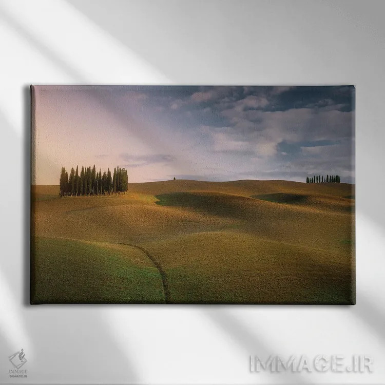 تابلو گورستان اثر فابیو آنتنور - نمای روبهرو روی دیوار