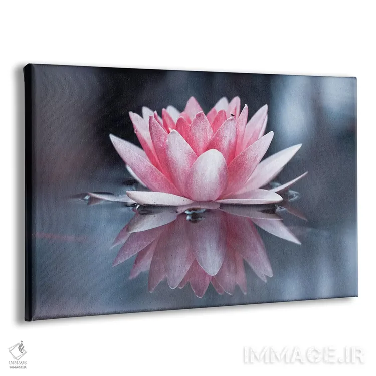 تابلو پادماسانا (حالت نیلوفر یوگا) اثر فابین براوین - نمای پرسپکتیو محصول