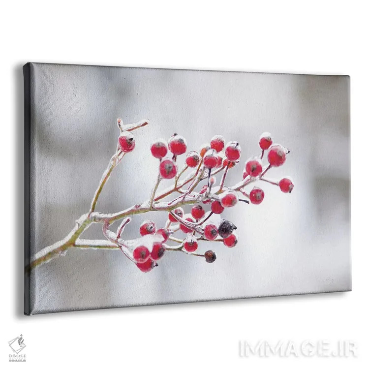 تابلو توتهای زمستانی یکم اثر فلیسیتی بردلی - نمای پرسپکتیو محصول