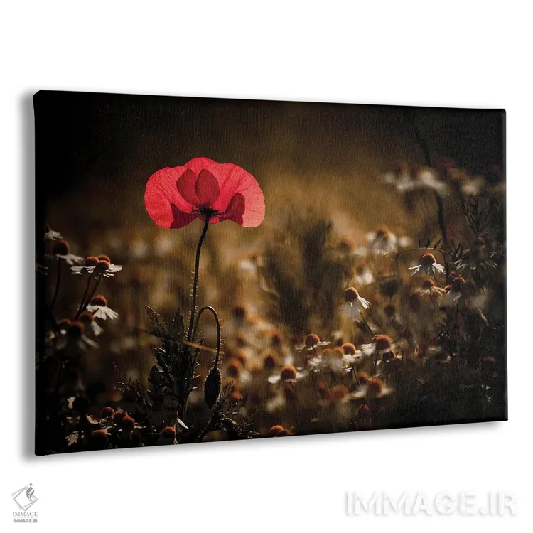 تابلو کمی گرما اثر فابین براوین - نمای پرسپکتیو محصول