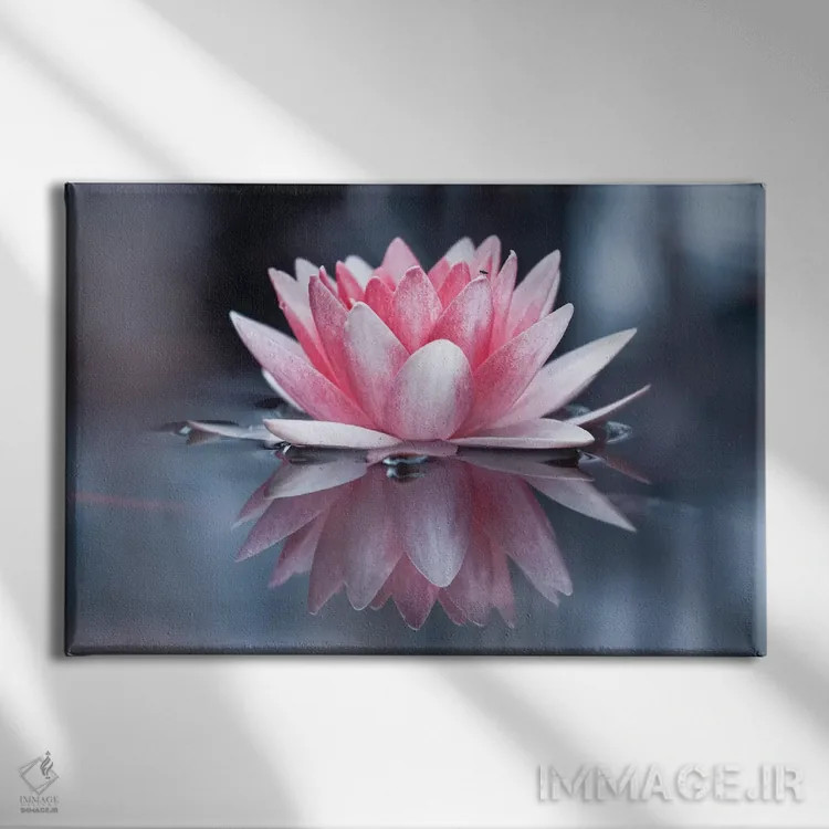 تابلو پادماسانا (حالت نیلوفر یوگا) اثر فابین براوین - نمای روبهرو روی دیوار